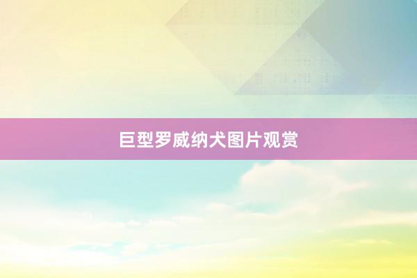 巨型罗威纳犬图片观赏