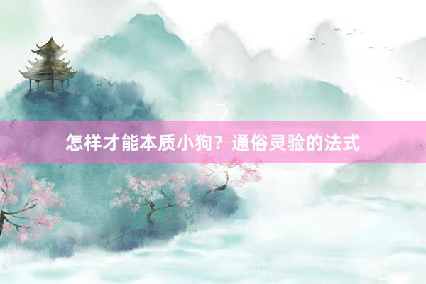 怎样才能本质小狗？通俗灵验的法式